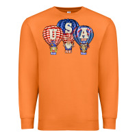 Carrot usa air balloon gnomies Premium Sweatshirt - BarkalooDesign