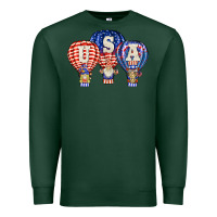 Usa Air Balloon Gnomies Premium Sweatshirt | Teevron
