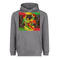 Storm free ish since 1865 Heavyweight Hoodie - BarkalooDesign