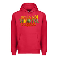 Cardinal Fall Grateful Thankful Blessed Premium Hoodie - LillyAllenDesigns