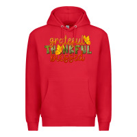 Red Fall Grateful Thankful Blessed Premium Hoodie - LillyAllenDesigns