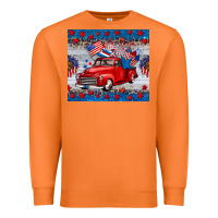 Carrot american truck 4th of july tumbler Premium Sweatshirt - BarkalooDesign