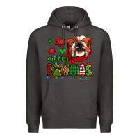 Smoke merry pawmas christmas bulldog Premium Hoodie - Jasminsmagicworld