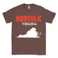 Chestnut norfolk virginia usa state america travel virginian Classic Tee - trangStudio