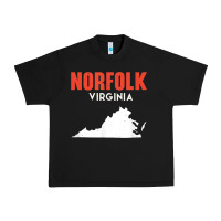 Norfolk Virginia Usa State America Travel Virginian Urban Heavy Tee | Teevron