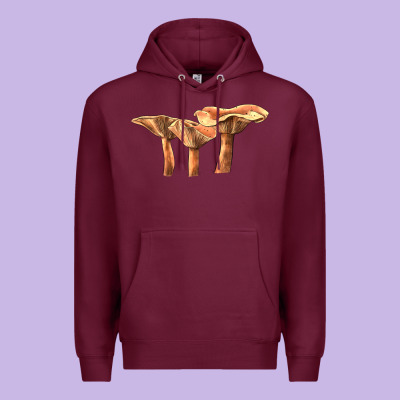 Lactarius Rufus Mushroom Illustrations Premium Hoodie Designed By Lillyallendesigns
