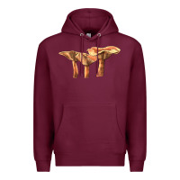 Burgundy Lactarius Rufus Mushroom Illustrations Premium Hoodie - LillyAllenDesigns