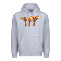 Heather Grey Lactarius Rufus Mushroom Illustrations Premium Hoodie - LillyAllenDesigns