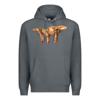 Rock Lactarius Rufus Mushroom Illustrations Premium Hoodie - LillyAllenDesigns