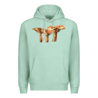 Seafoam Lactarius Rufus Mushroom Illustrations Premium Hoodie - LillyAllenDesigns
