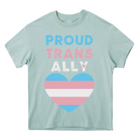 Arona proud trans ally transgender Heavy Core Tee - trangStudio