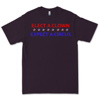 Elect A Clown Expect A Circus Political Premium Tee | Teevron