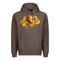 Coffee Pumpkin Premium Hoodie - LillyAllenDesigns