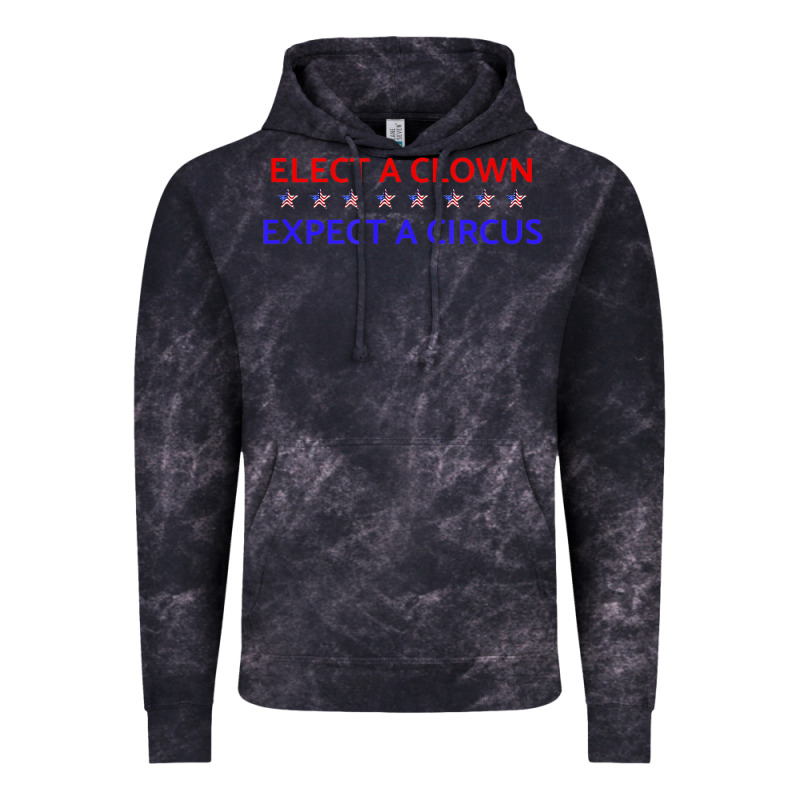 Elect A Clown Expect A Circus Political Vintage Hoodie by trangStudio | Teevron