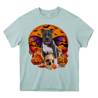 Arona halloween pitbull dog Heavy Core Tee - RanaPortraitStore
