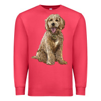 Cardinal goldendoodle Premium Sweatshirt - BarkalooDesign