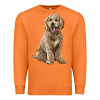 Carrot goldendoodle Premium Sweatshirt - BarkalooDesign