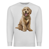 Dove Grey goldendoodle Premium Sweatshirt - BarkalooDesign