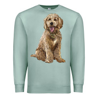Seafoam goldendoodle Premium Sweatshirt - BarkalooDesign