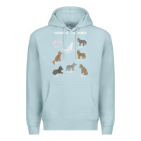 Blue Mist Wolves Of The World Educational Wolf Gift Premium Hoodie - trangStudio