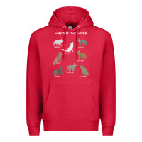 Cardinal Wolves Of The World Educational Wolf Gift Premium Hoodie - trangStudio