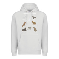 Dove Grey Wolves Of The World Educational Wolf Gift Premium Hoodie - trangStudio