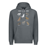 Rock Wolves Of The World Educational Wolf Gift Premium Hoodie - trangStudio