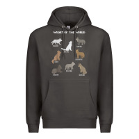 Smoke Wolves Of The World Educational Wolf Gift Premium Hoodie - trangStudio