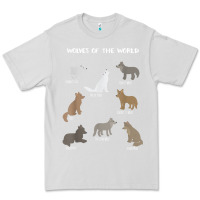 Dove Grey Wolves Of The World Educational Wolf Gift Premium Tee - trangStudio