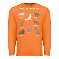 Carrot Wolves Of The World Educational Wolf Gift Premium Sweatshirt - trangStudio