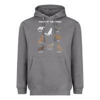Storm Wolves Of The World Educational Wolf Gift Heavyweight Hoodie - trangStudio