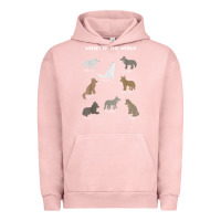 Pigment Salmon Wolves Of The World Educational Wolf Gift Urban Hoodie - trangStudio