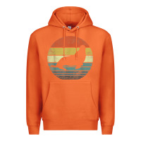 Carrot Seal Lover Gifts Retro Vintage Sea Lion Animal Silhouette Premium Hoodie - trangStudio