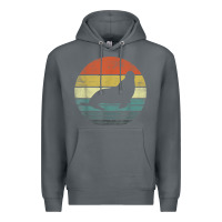 Rock Seal Lover Gifts Retro Vintage Sea Lion Animal Silhouette Premium Hoodie - trangStudio
