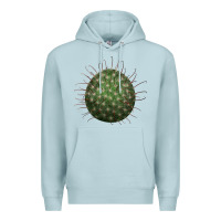 Blue Mist Arizona Fishhook Cactus Premium Hoodie - LillyAllenDesigns
