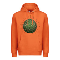 Carrot Arizona Fishhook Cactus Premium Hoodie - LillyAllenDesigns