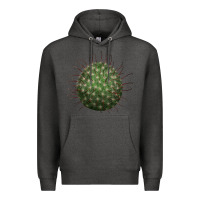 Charcoal Heather Arizona Fishhook Cactus Premium Hoodie - LillyAllenDesigns
