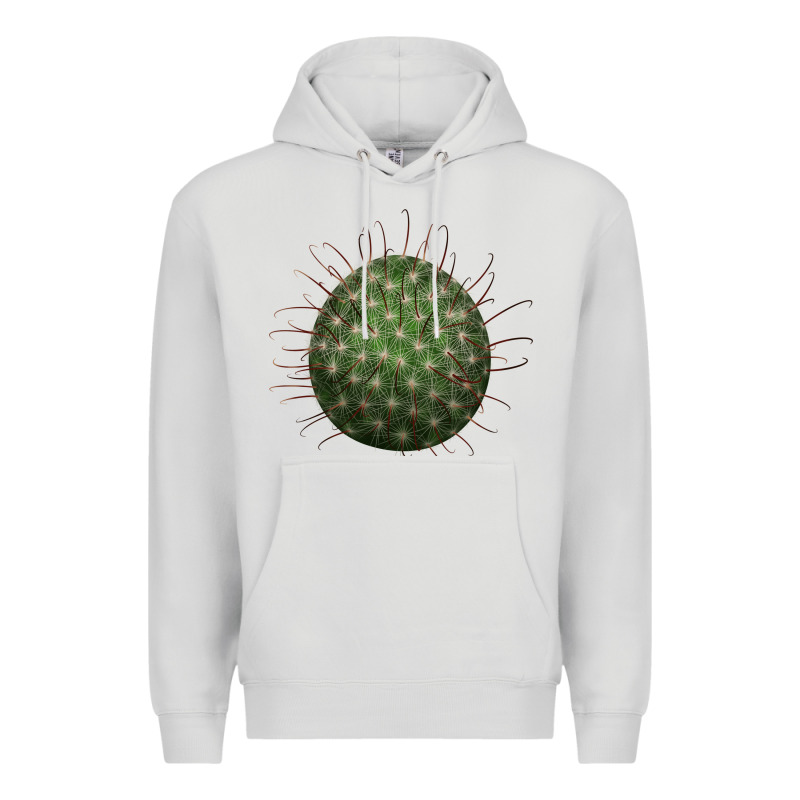 Arizona Fishhook Cactus Premium Hoodie by LillyAllenDesigns | Teevron