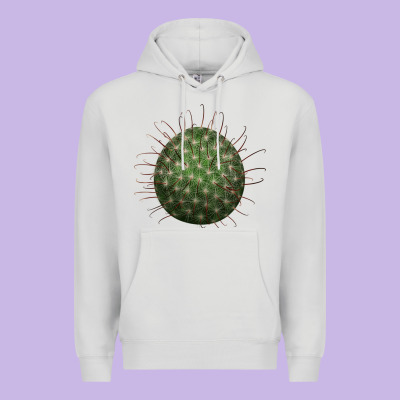 Arizona Fishhook Cactus Premium Hoodie Designed By Lillyallendesigns