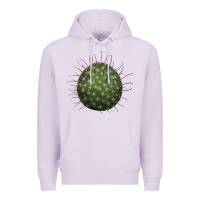 Lilac Arizona Fishhook Cactus Premium Hoodie - LillyAllenDesigns