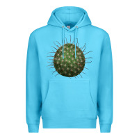 Ocean Blue Arizona Fishhook Cactus Premium Hoodie - LillyAllenDesigns