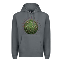 Rock Arizona Fishhook Cactus Premium Hoodie - LillyAllenDesigns
