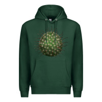 Sports Green Arizona Fishhook Cactus Premium Hoodie - LillyAllenDesigns