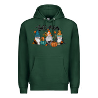 Sports Green Fall Vibes Gnomes Premium Hoodie - RanaPortraitStore