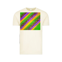 Vintage Arctic mardi gras carnival Vintage Tee - Jasminsmagicworld