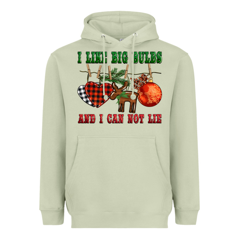 I Like Big Bulbs And I Can Not Lie Heavyweight Hoodie by BarkalooDesign | Teevron