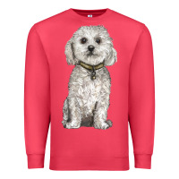 Cardinal bichon frise dog Premium Sweatshirt - BarkalooDesign