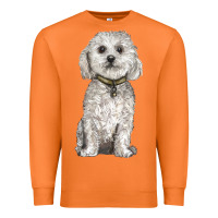 Carrot bichon frise dog Premium Sweatshirt - BarkalooDesign