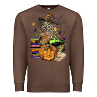 Chestnut halloween owl Premium Sweatshirt - BarkalooDesign