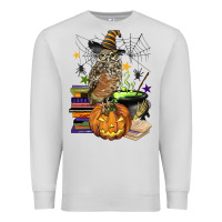Dove Grey halloween owl Premium Sweatshirt - BarkalooDesign